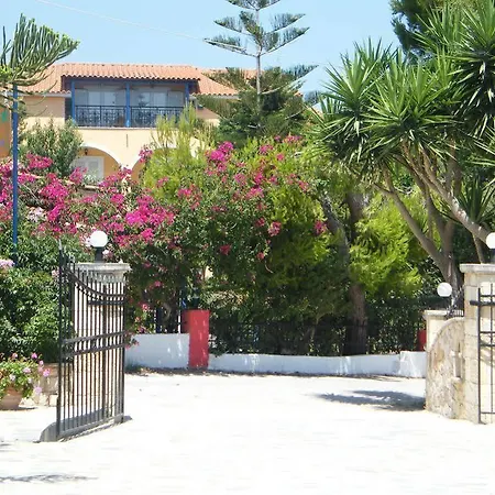 Panorama &
